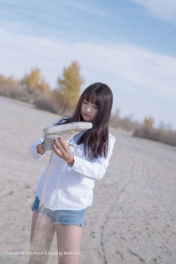 十三载电视剧
